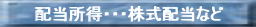 配当所得画像
